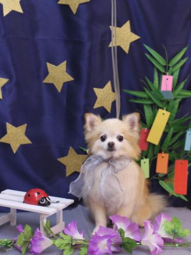 20230715小豆くん